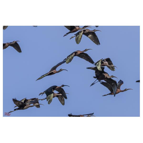 PHOTO84, CLUB, 84 , LUBERON